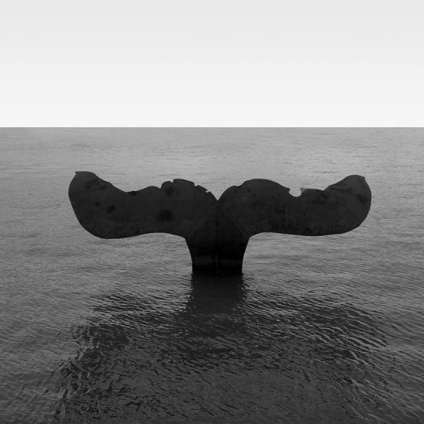 Photograph Juan De Villalba La Ballena on One Eyeland